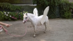Lucien